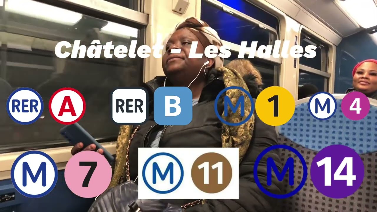 (RER D) panne d’un train, grosse panique lors de la fermeture des portes (Incident)