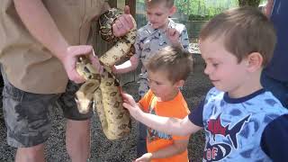 Living Treasures Full Animal Park Experience  Feed