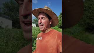 Lessons From The Food Forest, Pt. 2