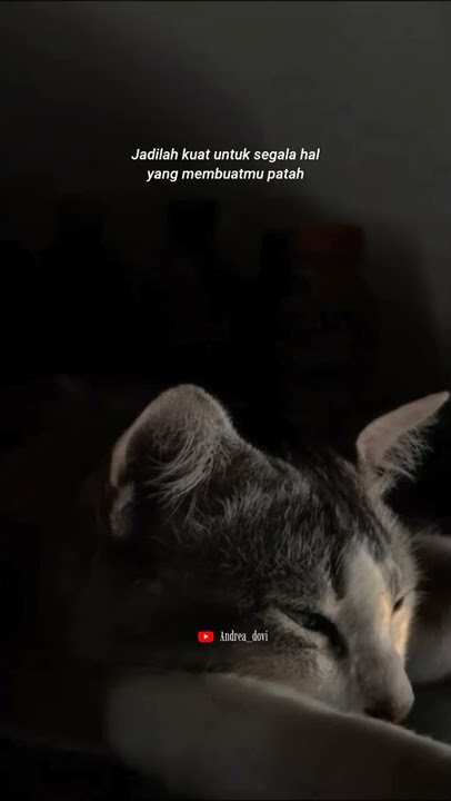 🔴 Story Wa 30 Detik Terbaru 2022║Story Wa 🎶 DJ Lily║Status Wa Sad