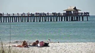 Collier County Recycles 2016