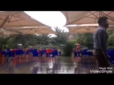 تمطر الدنيا حنين