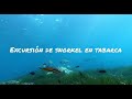 Excursión de SNORKEL en TABARCA