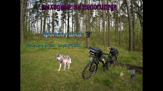 Поход в лес на велосипеде. Кадры животных с фотоловушки в лесу.