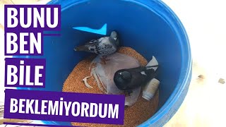 Bunu Ben Bile Beklemiyordum Iki Tane Birden