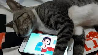 Download Lagu lagu(Nina bobo) MP3