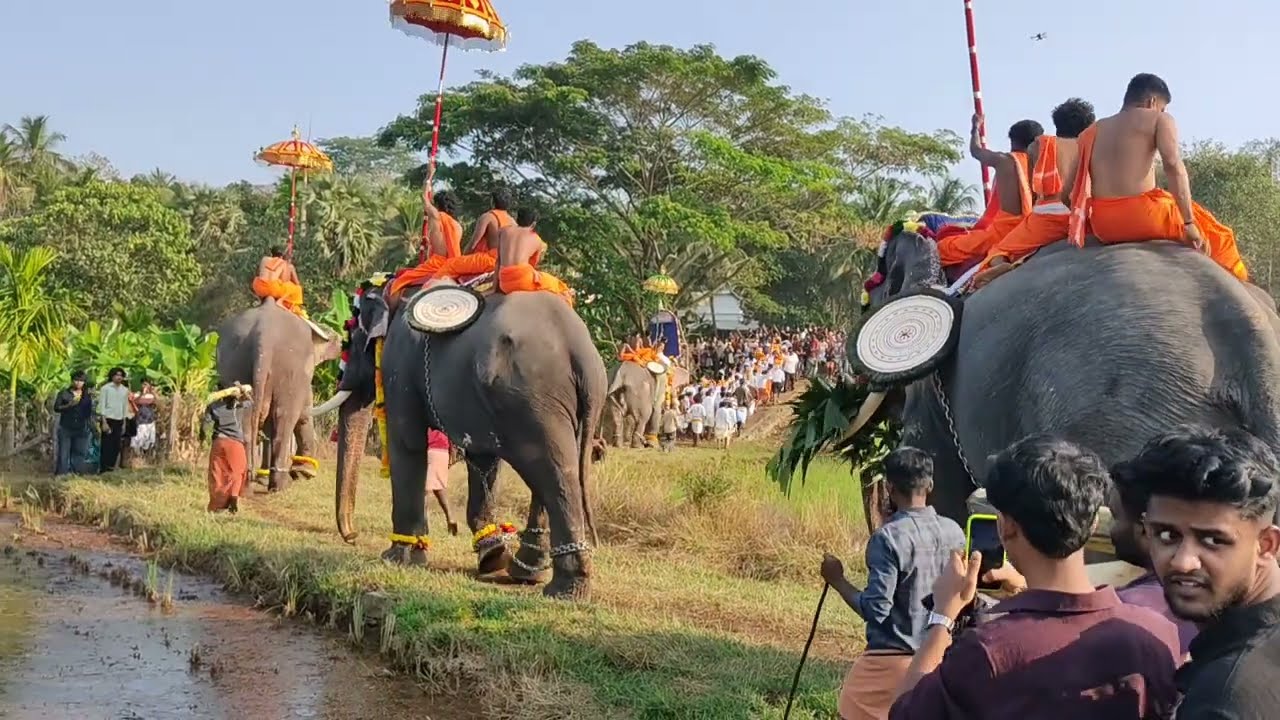 Vayilliyamkunnu pooram  2026