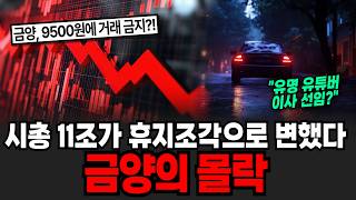 시총 11조가 휴지조각으로 변했다 금양의 몰락 [이슈임당]