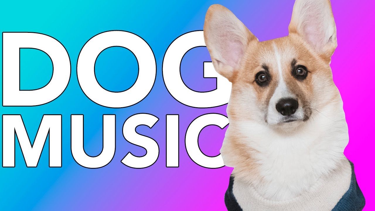 Dog Music! EXPERT MADE Stress Reducing ASMR Music for Anxious Dogs!