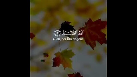 سوره الإخلاص بصوت رائع ❤