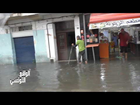 المطر دخلت للحوانت و الحلاقم ولات ترجع في الماء القرش الأكبر تونس العاصمة