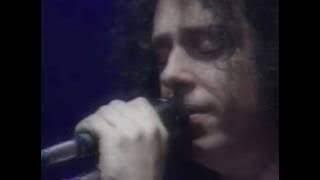 Toto Live ' I Won't Hold You Back'.