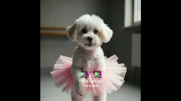 Multilingual Dog 