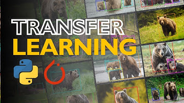 Object Detection Tutorial | Faster RCNN on Custom Dataset | Deep Learning
