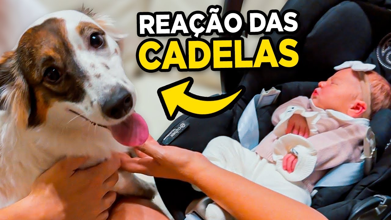 Apresentamos as CADELAS pra Nossa FILHA!