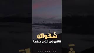 شكواك للناس يابن الناس منقصة مصطفى الربيعي 💔