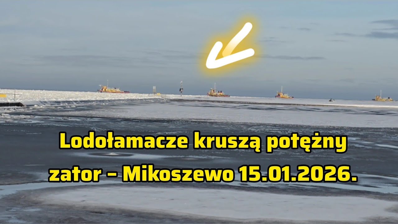 Wisła pęka! Lodołamacze kruszą potężny zator – Mikoszewo. 15.01.2026 🚢🧊