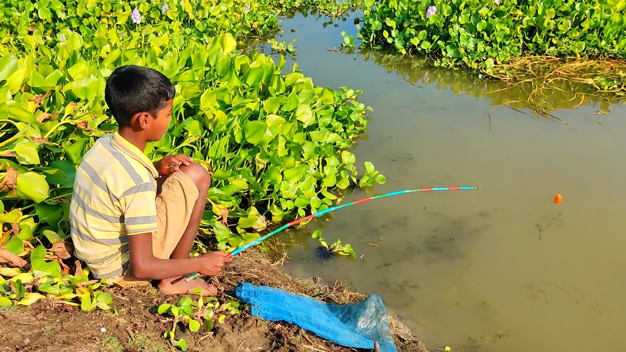 Hook Fishing Traditional Hook Fishing MR Fishing Life (Part637) YouTube