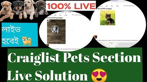 how to posting craiglist pets section or live solution! কিভাবে ক্রাগলিস্টে পোস্ট করে লাইভ করানো হয়!
