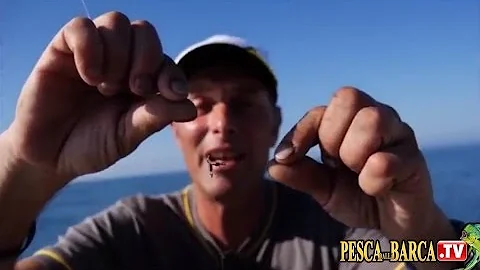 Come vengono pescate le seppie?