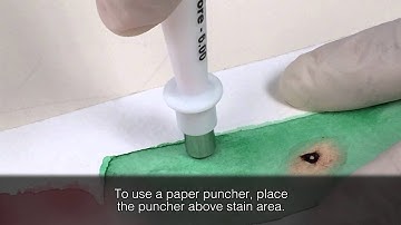 Processing samples from a painting directly on the RapidHIT