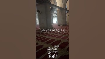 ولا تحسبن الله غافلا عما يعمل الظالمون بصوت القارئ محمد خالد نادي #islam #quran #فلسطين