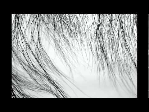 Wind In De Wilgen