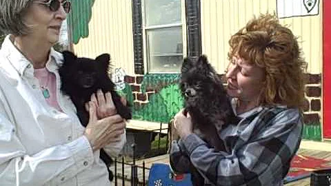 Lynn Felske   Olivia & Prissy