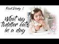 WHAT MY TODDLER EATS IN A DAY | KIDS FOOD IDEAS | MAMA REID