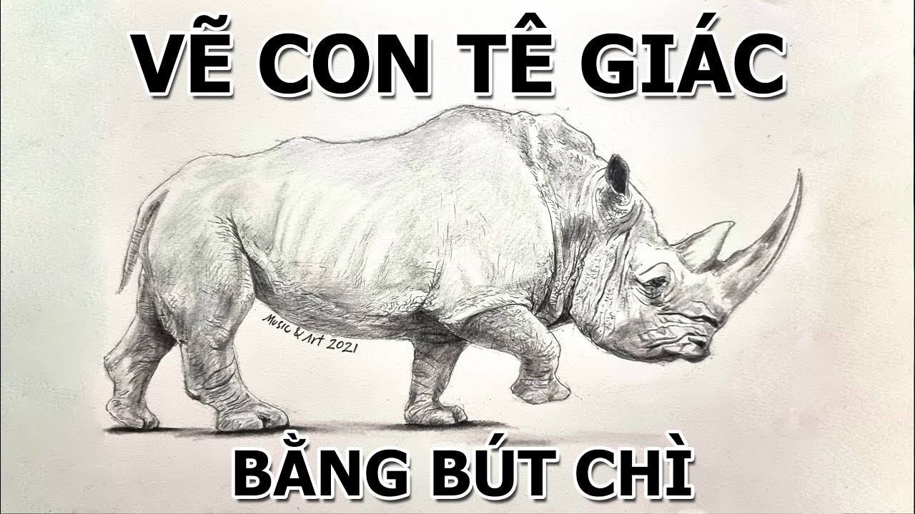 Vẽ con Tê giácHow to Draw a Rhinoceros  YouTube