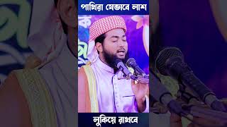 পাখিরা যেভাবে লাশ লুকিয়ে রাখবে || motivation আমলের_ভিডিও আল্লামা_সাঈদী