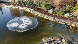 Budowa Oczka Wodnego Pierwsza Zima