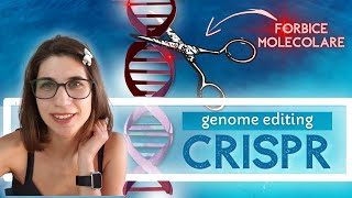 2⃣ CRISPRCas9: come funziona il sistema che ha rivoluzionato il genome editing