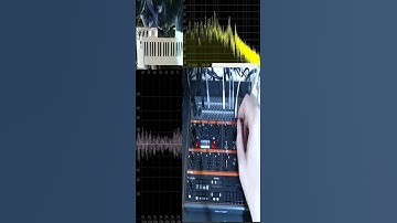 Behringer Grind Patch | LeadBelly |🎶🔌🎹 |  #synthesizer #electronicmusic #dawless #synth