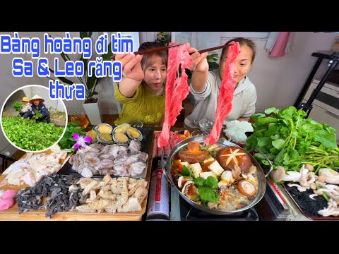 Video Rủ nhau đi hái xà lách xoong miễn phí nhúng nồi lẩu tứ... - youtube