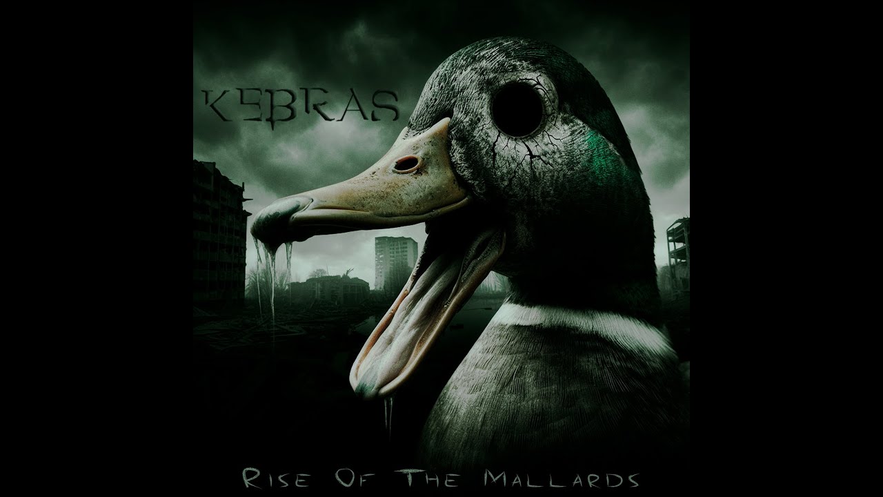 Kebras - Rise Of The Mallards | Just another random guitarist