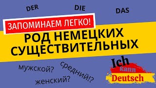 Как определять род немецких существительных? Запоминаем легко и надолго.