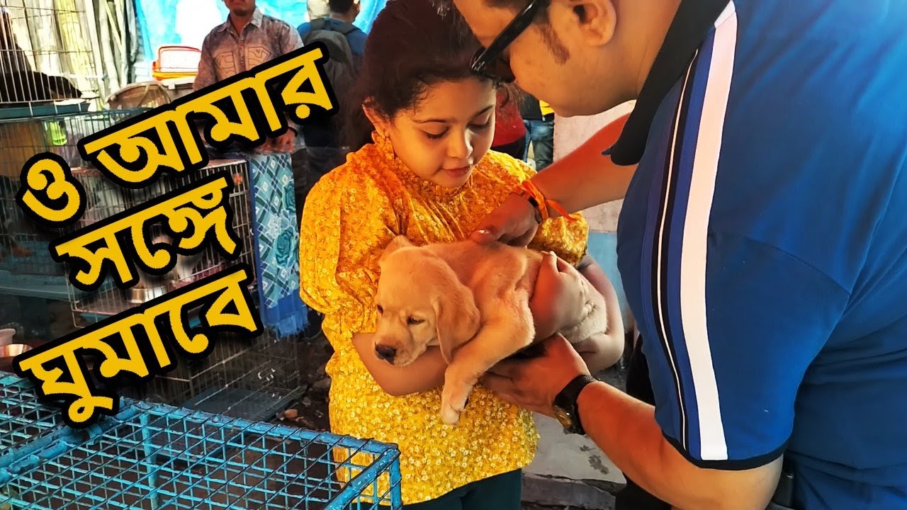 gallif-street-pet-market-kolkata-recent-dog-puppy-price-update-dog