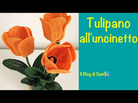 Video: Qual è l'acronimo del tulipano?