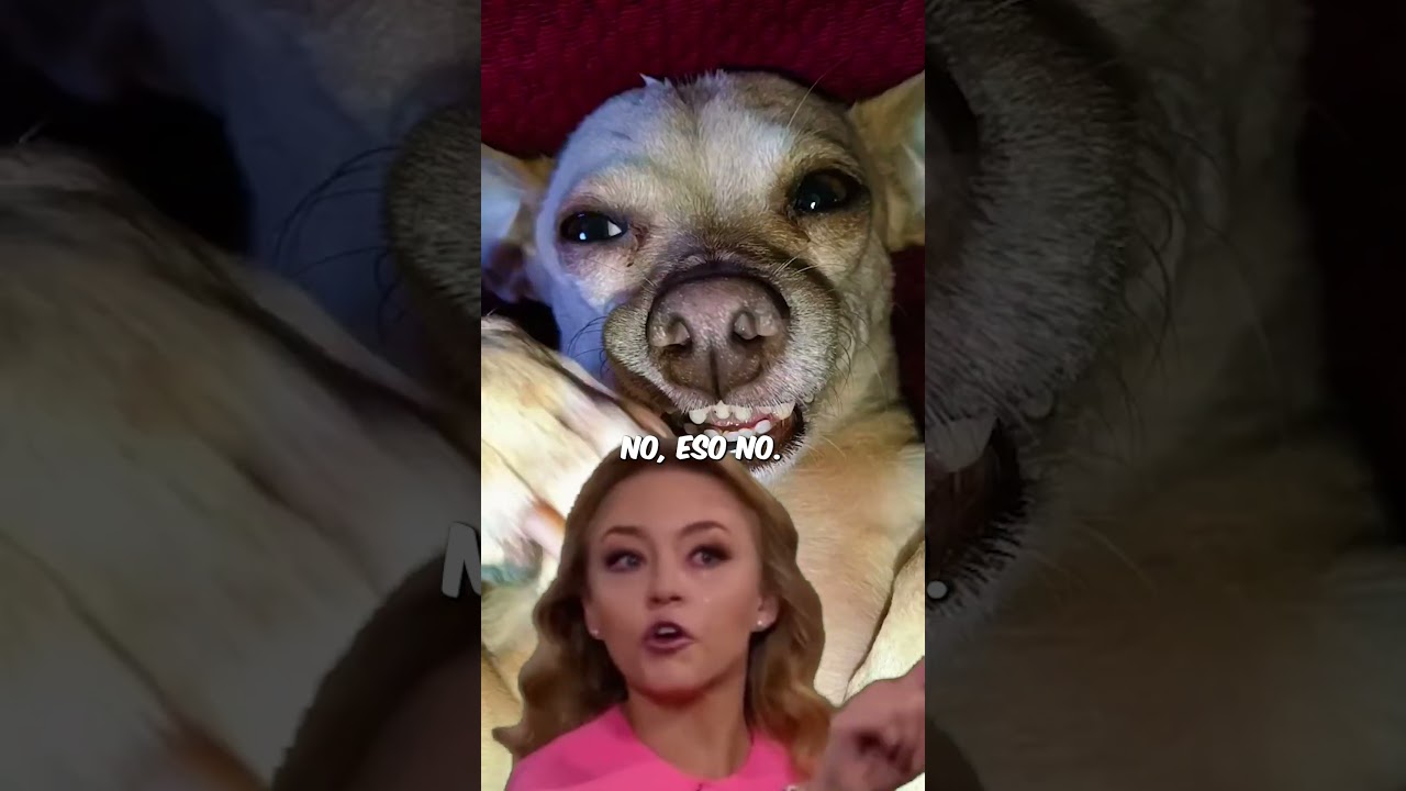 Compara los planes y precios del servicio de 