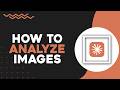 How To Analyze Images With Claude AI (Quick Tutorial)