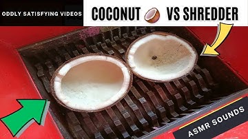 Coconut vs Fast Shredder (Almost broke our machine!) | Satisfying SHREDDING MOMENTS | ASMR SOUND