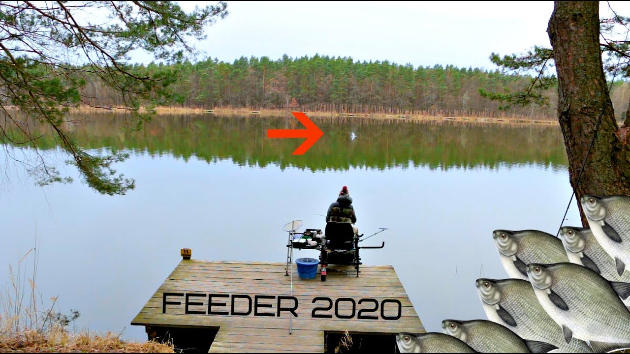 Фідер, відкриття риболовного сезону. Рибалка фідер, озеро Майдан