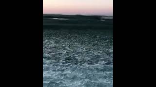 Icy waves in Klaipėda Lithuania 🇱🇹 #lithiumbattery #klaipeda #balticsea #wavesounds