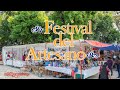 Festival del Artesano