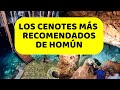 Video de Homun