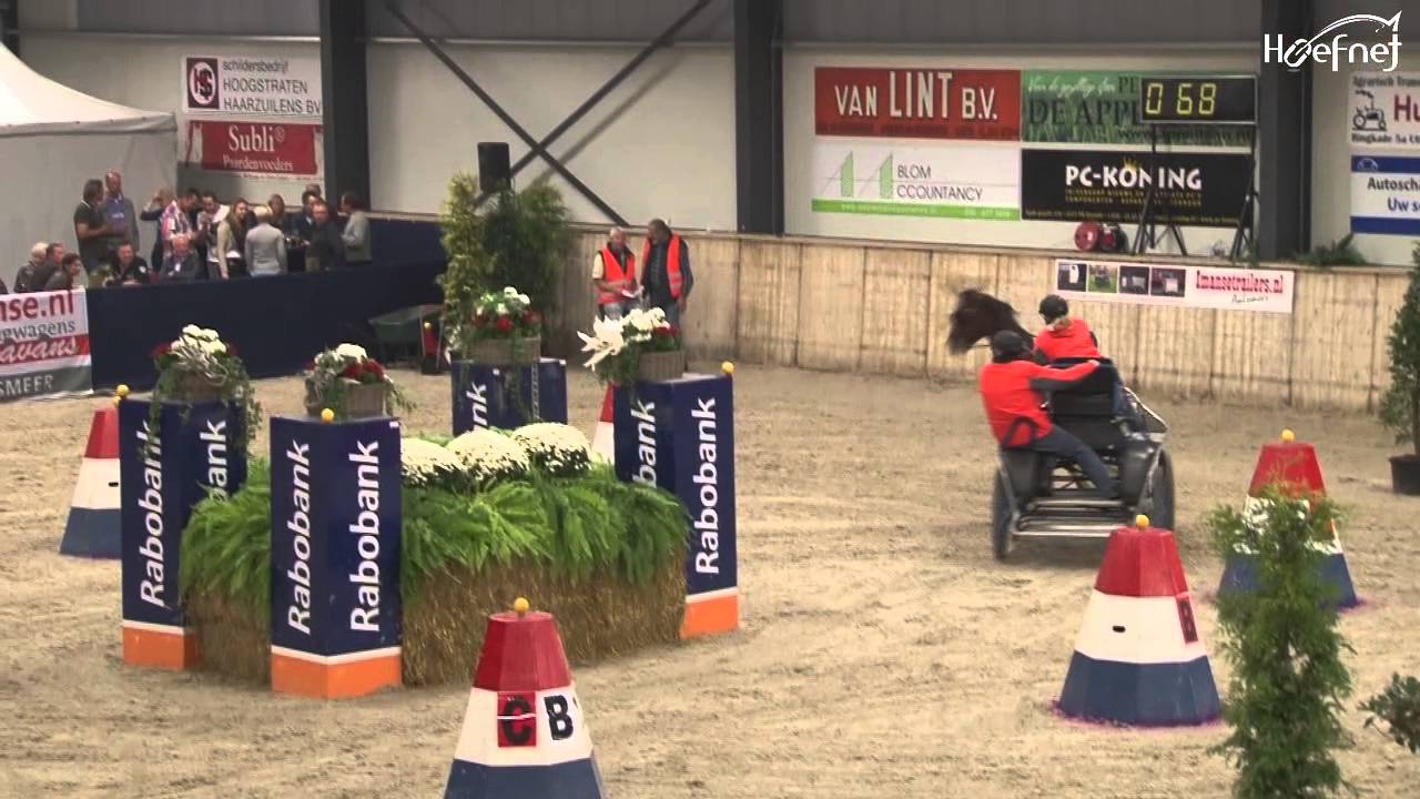 Enkelspan paard Finale Indoor Marathon de Voornruiters 2013