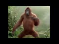 I feel good monkey meme for Youtube videos. 1080p quality meme.