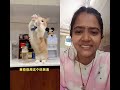 Jealous Cat Wants Milk like The Baby 🍼🤣😺🐈😍💗🥰 #cat #cute #pets #baby#tabby#kitty #kittencuddles#viral