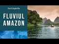 Cel mai mare ru din lume fluviul amazon